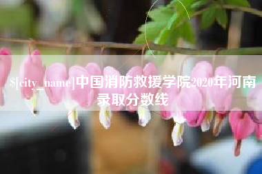 丽水中国消防救援学院2020年河南录取分数线