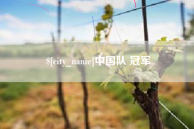 丽水中国队 冠军