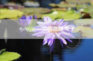 丽水中国地图 电子