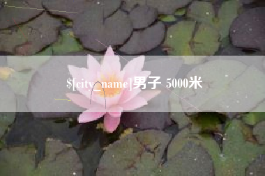 丽水男子 5000米