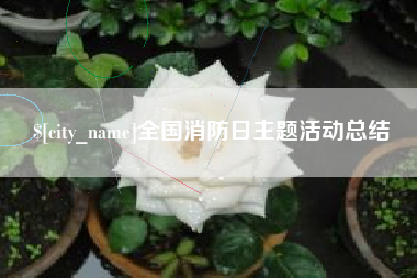 丽水全国消防日主题活动总结