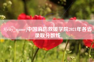 丽水中国消防救援学院2021年各省录取分数线