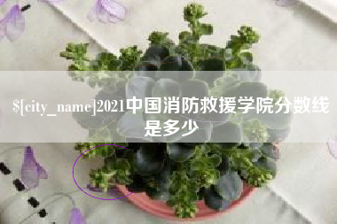 丽水2021中国消防救援学院分数线是多少