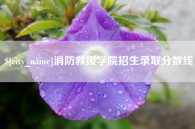 丽水消防救援学院招生录取分数线