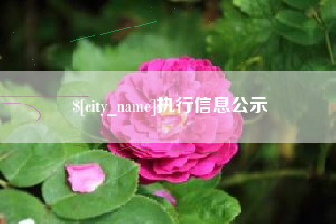 丽水执行信息公示