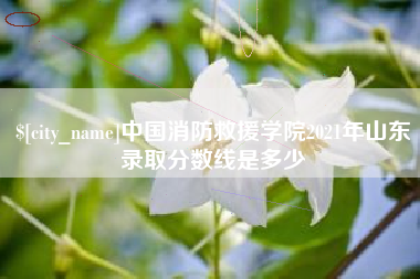 丽水中国消防救援学院2021年山东录取分数线是多少