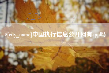 丽水中国执行信息公开网有app吗