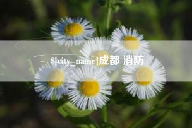 丽水成都 消防