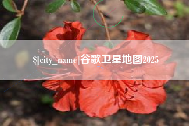 丽水谷歌卫星地图2025