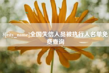 丽水全国失信人员被执行人名单免费查询