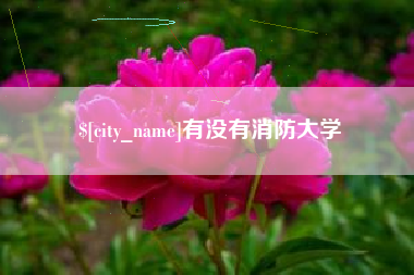 丽水有没有消防大学