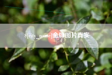 丽水金牌图片真实