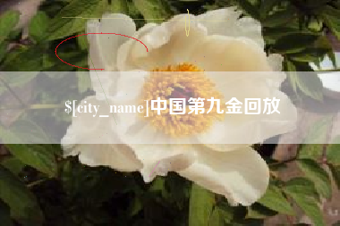 丽水中国第九金回放
