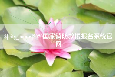 丽水2020国家消防救援报名系统官网