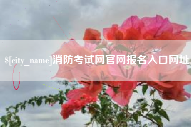丽水消防考试网官网报名入口网址