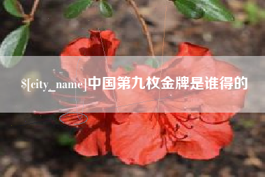 丽水中国第九枚金牌是谁得的