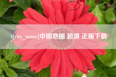 丽水中国地图 超清 正版下载
