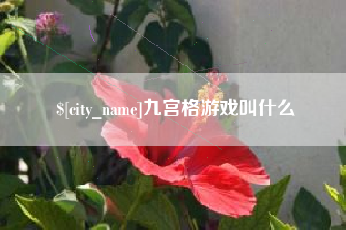丽水九宫格游戏叫什么
