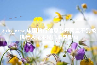 丽水中国执行信息公开网查不到被执行人是不是已解除限高