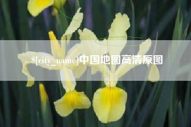 丽水中国地图高清原图