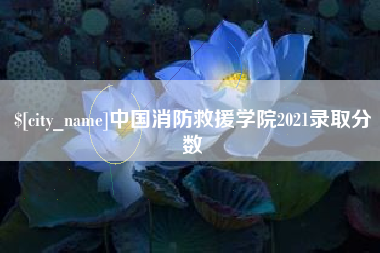 丽水中国消防救援学院2021录取分数