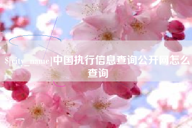 丽水中国执行信息查询公开网怎么查询