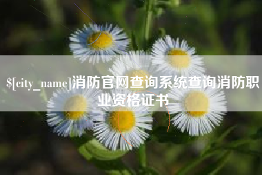 丽水消防官网查询系统查询消防职业资格证书