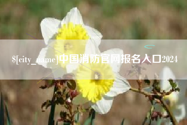 丽水中国消防官网报名入口2024