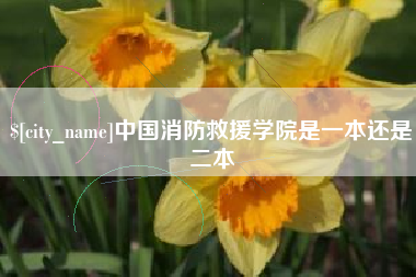 丽水中国消防救援学院是一本还是二本