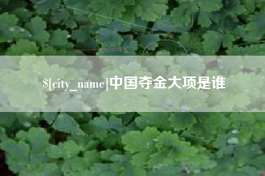 丽水中国夺金大项是谁