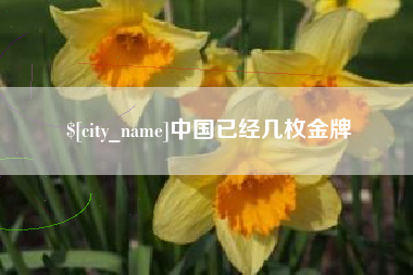 丽水中国已经几枚金牌