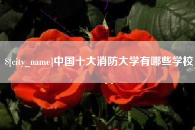 丽水中国十大消防大学有哪些学校