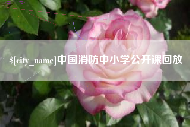 丽水中国消防中小学公开课回放