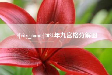丽水2021年九宫格分解图