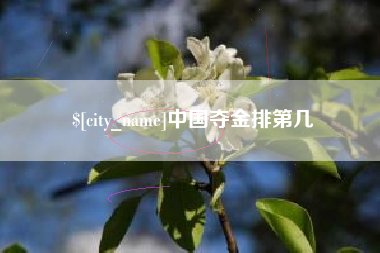 丽水中国夺金排第几