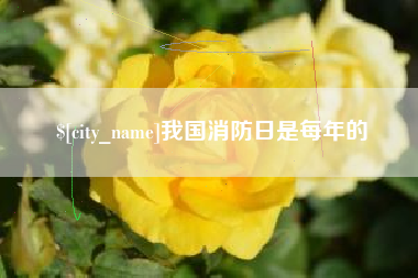 丽水我国消防日是每年的