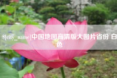 丽水中国地图高清版大图片省份 白色