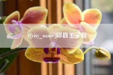 丽水邱县王子磊