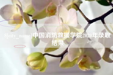 丽水中国消防救援学院2020年录取结果