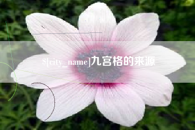 丽水九宫格的来源