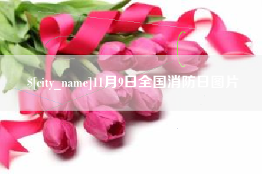 丽水11月9日全国消防日图片