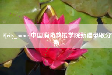 丽水中国消防救援学院新疆录取分数