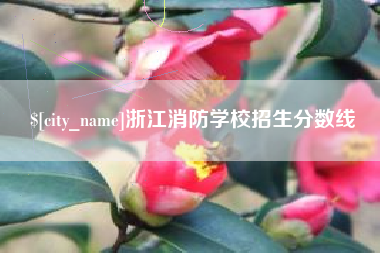 丽水浙江消防学校招生分数线