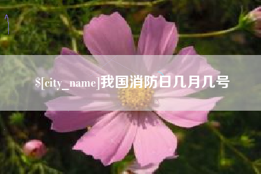 丽水我国消防日几月几号