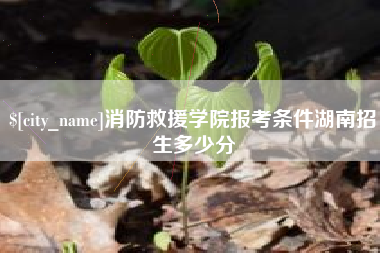 丽水消防救援学院报考条件湖南招生多少分