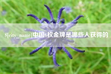 丽水中国6枚金牌是哪些人获得的