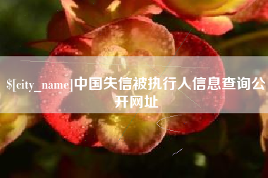 丽水中国失信被执行人信息查询公开网址