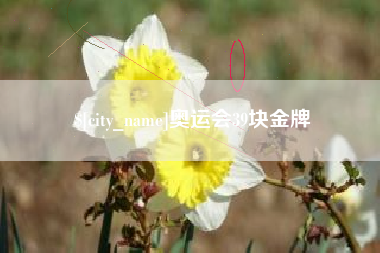 丽水奥运会39块金牌