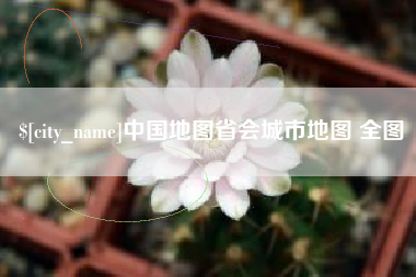 丽水中国地图省会城市地图 全图