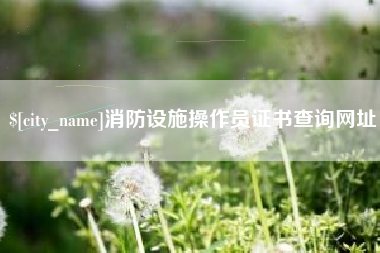 丽水消防设施操作员证书查询网址